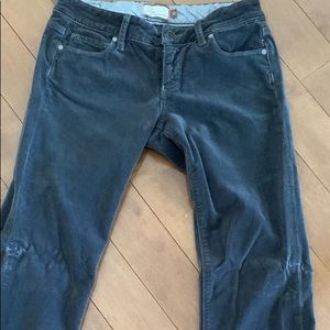 ❤️❤️PAIGE size 27 velvet jeans. Offers welcomed!!!!!❤️❤️